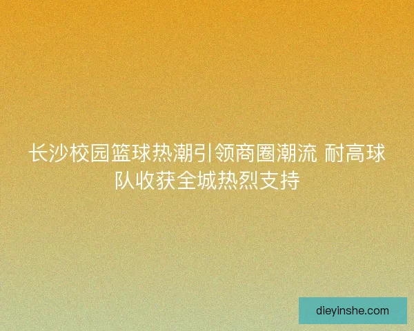 长沙校园篮球热潮引领商圈潮流 耐高球队收获全城热烈支持